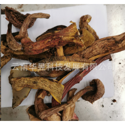 云南特产黄牛肝菌干货2021新上市餐饮连锁火锅熬菌汤味道香颜色好图4