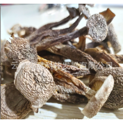 云南特产鹿茸菇干货2021新上切根中粗条无碎火锅炒菜厂家一手货源图4