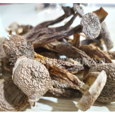 云南特产鹿茸菇干货2021新上切根中粗条无碎火锅炒菜厂家一手货源图2