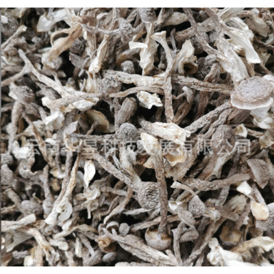 云南特产鹿茸菇干货2021新上切根中粗条无碎火锅炒菜厂家一手货源图3