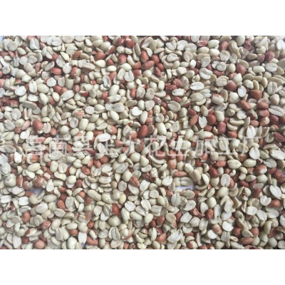山东新鲜榨油专用生花生 红皮花生米花生仁 散装去皮脱皮花生批发图2