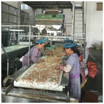 山东新鲜榨油专用生花生 红皮花生米花生仁 散装去皮脱皮花生批发图5