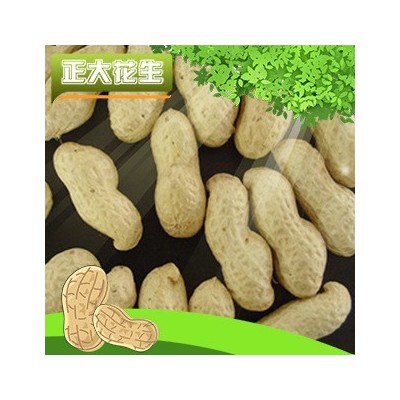山东海花水洗花生果 带壳花生果 海花榨油花生 花生批发