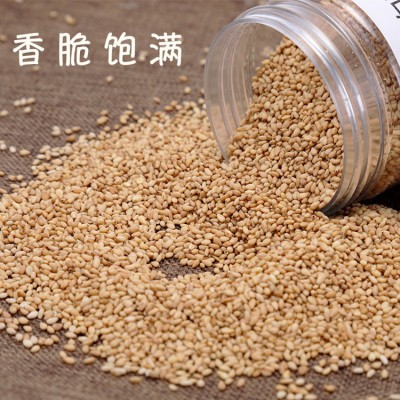 炒芝麻透明小包装2g熟白芝麻商用冷面熟芝麻水爆肚脱皮芝麻包批发图4