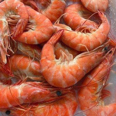 熟虾熟对虾毛重500g白灼虾香虾南美白虾卤水虾盒生鲜海鲜餐饮冻品图2