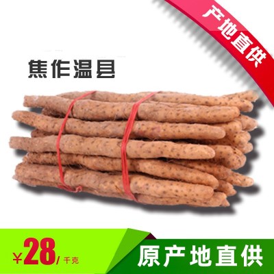 河南焦作温县垆土铁棍山药怀山药新鲜山药图2