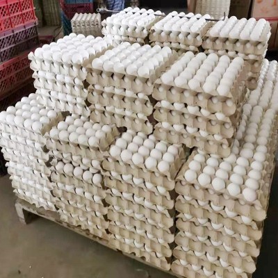 现货白壳新鲜鸡蛋批发白壳鸡蛋五谷喂养鲜鸡蛋360枚一箱厂家批发图2