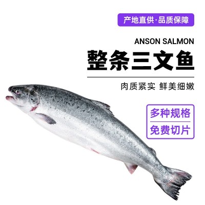 整条三文鱼智利大西洋鲑鱼日料刺身鱼片海鲜食材