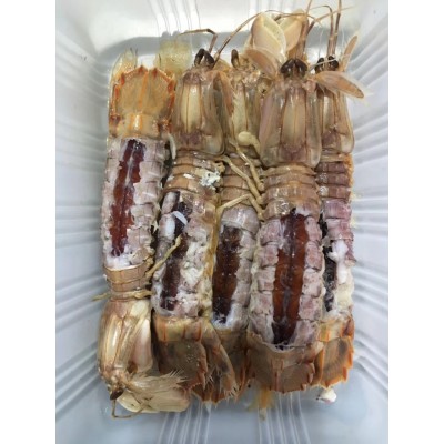 【顺丰包邮】 批发供应整只爬虾 皮皮虾 琵琶虾10盒 酒店食材图2