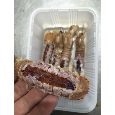 【顺丰包邮】 批发供应整只爬虾 皮皮虾 琵琶虾10盒 酒店食材图3