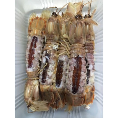 【顺丰包邮】 批发供应整只爬虾 皮皮虾 琵琶虾10盒 酒店食材