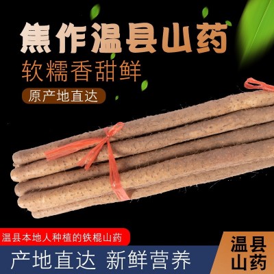 5斤现货铁棍山药河南特产焦作温县怀山药棍气柱装铁杆农家淮山药图2