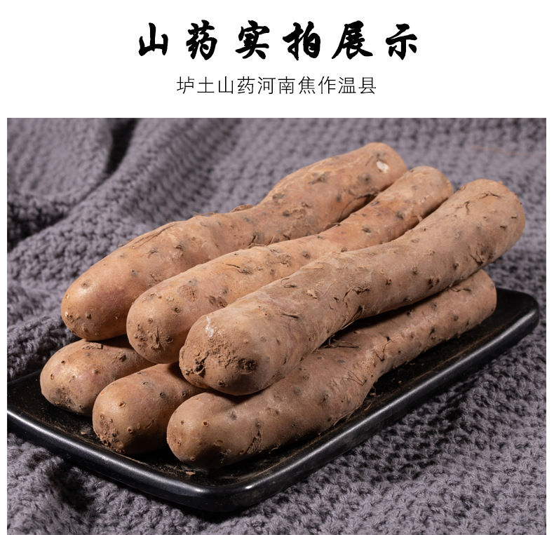 未标题-1-副本_07