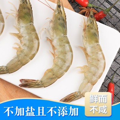 国产大虾养殖基围虾冷冻青虾白虾海鲜水产鲜活南美对白虾厂家批发图3
