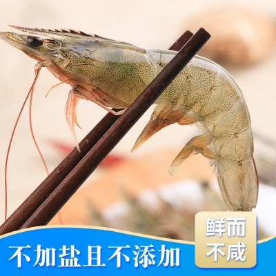 国产大虾养殖基围虾冷冻青虾白虾海鲜水产鲜活南美对白虾厂家批发图4