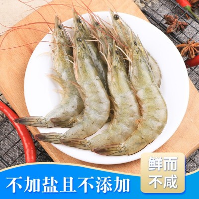 国产大虾养殖基围虾冷冻青虾白虾海鲜水产鲜活南美对白虾厂家批发图2