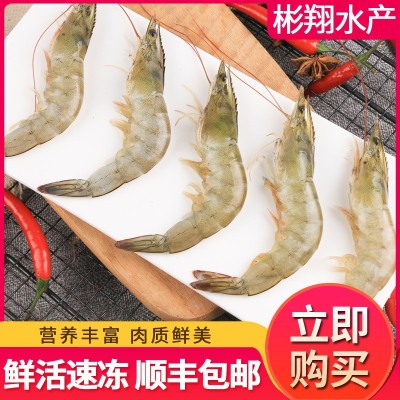 国产大虾养殖基围虾冷冻青虾白虾海鲜水产鲜活南美对白虾厂家批发