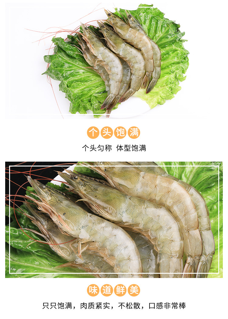 详情页-虾干_08