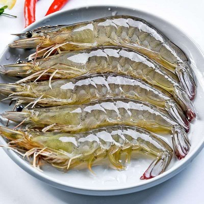 南美白对虾鲜活冷冻国产大虾白虾新鲜青虾明虾水产海鲜厂家批发图4