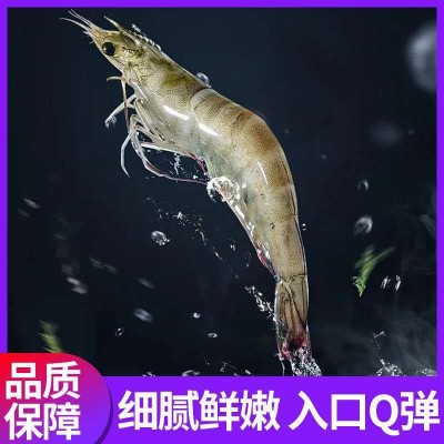 南美白对虾鲜活冷冻国产大虾白虾新鲜青虾明虾水产海鲜厂家批发