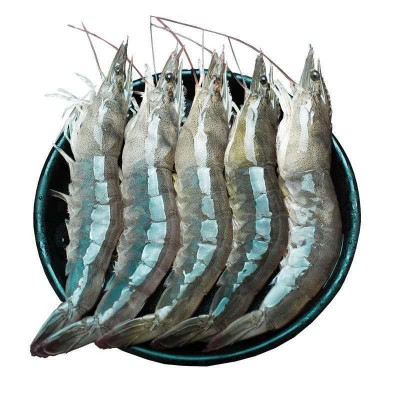 南美白对虾鲜活冷冻国产大虾白虾新鲜青虾明虾水产海鲜厂家批发图5