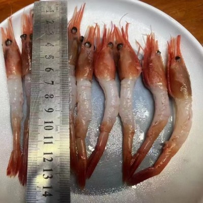 20尾带头甜虾甜虾北极甜虾刺身寿司160g/包 去壳带头冰镇拼盘甜虾图2