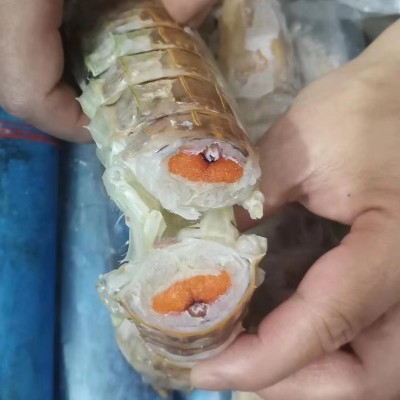 熟冻泰虾巨型富贵虾超大虾姑泰国濑尿虾肉虾膏虾羔虾爬爬虾皮皮虾图2