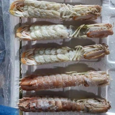 熟冻泰虾巨型富贵虾超大虾姑泰国濑尿虾肉虾膏虾羔虾爬爬虾皮皮虾图4