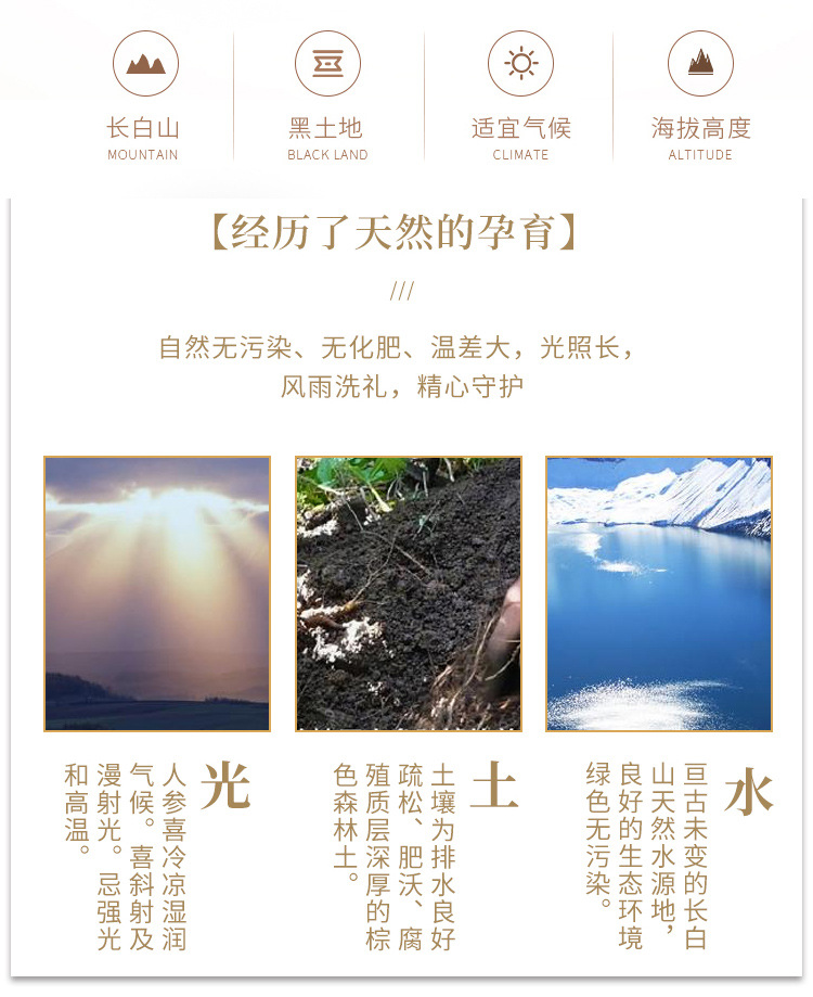 8毫米_03.jpg