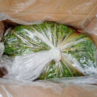 10斤整箱包邮油焖即食裙带海芹菜酱菜下饭菜海白菜图3