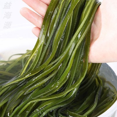 包邮海带丝整箱5斤海带批发海带丝厚火锅食材凉拌菜非海鲜干货图2