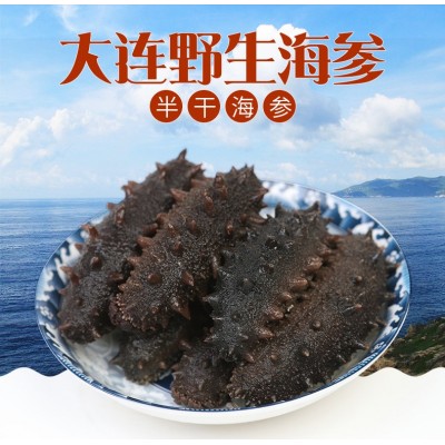 工厂批发工厂大连底播小火候半干海参 干货辽刺参礼盒装海鲜酒店