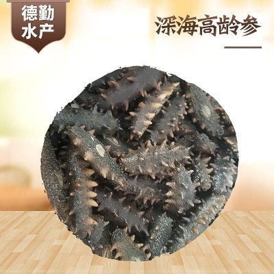 半干海参大连特产深海高龄海参传统蒸煮晾晒半干海参500g水产干货