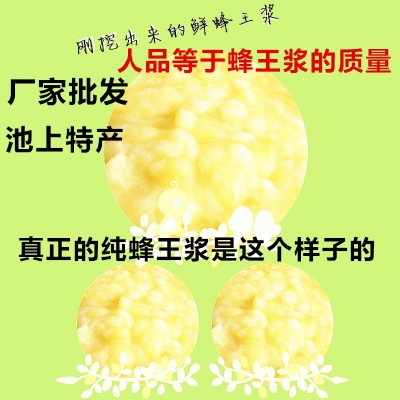厂家批发蜂王浆 鲁山蜂皇浆 淄博农产品 山东特产图1