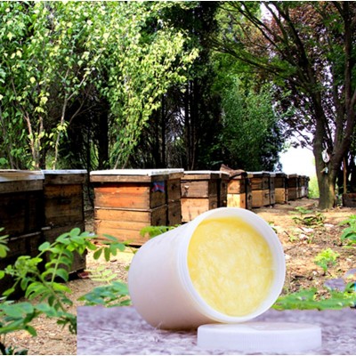 厂家批发蜂王浆 鲁山蜂皇浆 淄博农产品 山东特产图3
