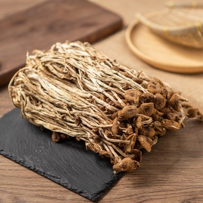 庆元的茶树菇 菇类干货炖汤土特产菌菇干货土特产不开伞茶树菇厂图3