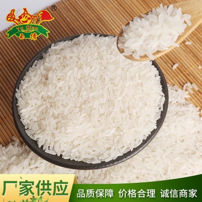 厂家批发安徽寿县特产大米 农家基地批发香软米 精诚食品图4