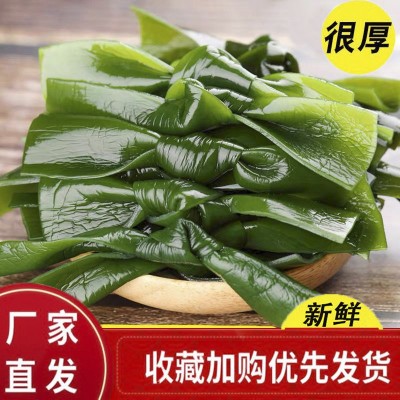新鲜特厚嫩绿海带结2/5斤整箱盐渍海带中小扣火锅串商用食材批发