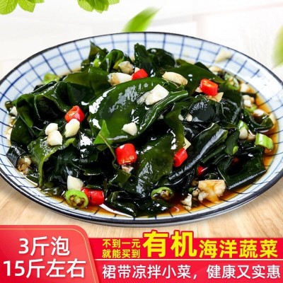 盐渍裙带菜海白菜海藻菜海带裙带菜凉拌菜麻辣烫火锅食材产地直供图5