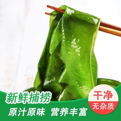 盐渍裙带菜海白菜海藻菜海带裙带菜凉拌菜麻辣烫火锅食材产地直供图2