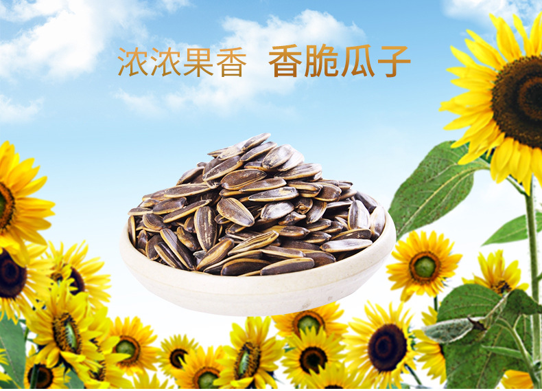 飞越食品瓜子_01
