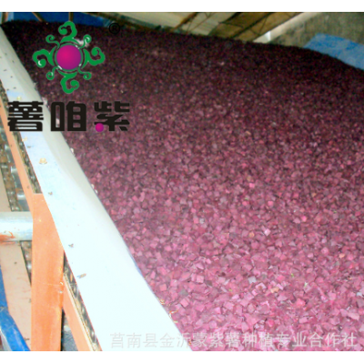 现货紫薯丁熬粥口感色泽亮紫薯粒厂家批发杂粮紫地瓜粒图3