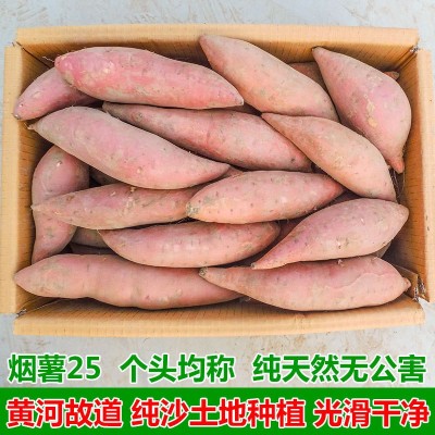 产地直发烟薯25蜜薯烤红薯香糯甜 流油蜜薯大量批发零售50斤一箱图4