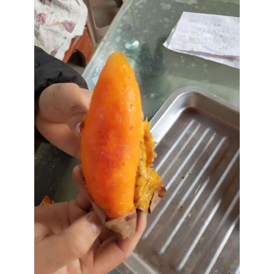 批发烟薯25电烤蜜薯山东烟薯地瓜烤红薯代发包邮五斤装图3