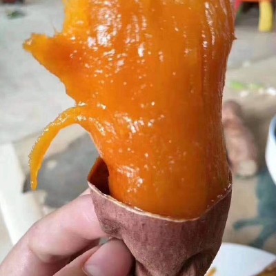产地直发烟薯25蜜薯红薯糖心沙地番薯烤地瓜已糖化上糖流油软糯甜