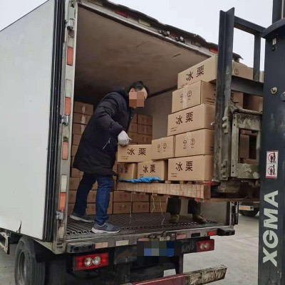迁西板栗冰栗夏日爆品速冻开口笑栗子烤栗子蒸栗厂家供应批发代发图4