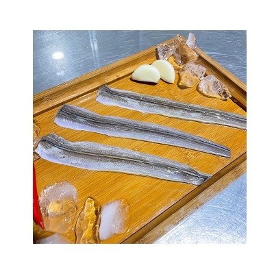 冷冻水产鳗鱼片 冷冻海鲜火锅烧烤寿司食材不裹粉日式蒲烧鳗鱼片图5