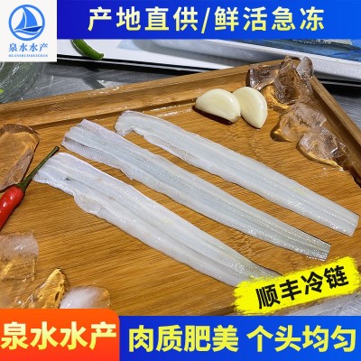 冷冻水产鳗鱼片 冷冻海鲜火锅烧烤寿司食材不裹粉日式蒲烧鳗鱼片图3