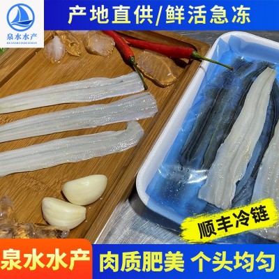 冷冻水产鳗鱼片 冷冻海鲜火锅烧烤寿司食材不裹粉日式蒲烧鳗鱼片图4