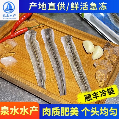 冷冻水产鳗鱼片 冷冻海鲜火锅烧烤寿司食材不裹粉日式蒲烧鳗鱼片图2